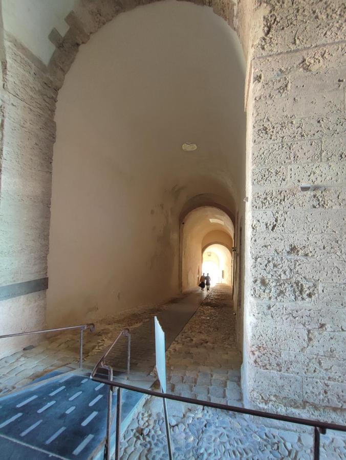 Apartamento Petit Cocon A Mourepiane Marsella Exterior foto