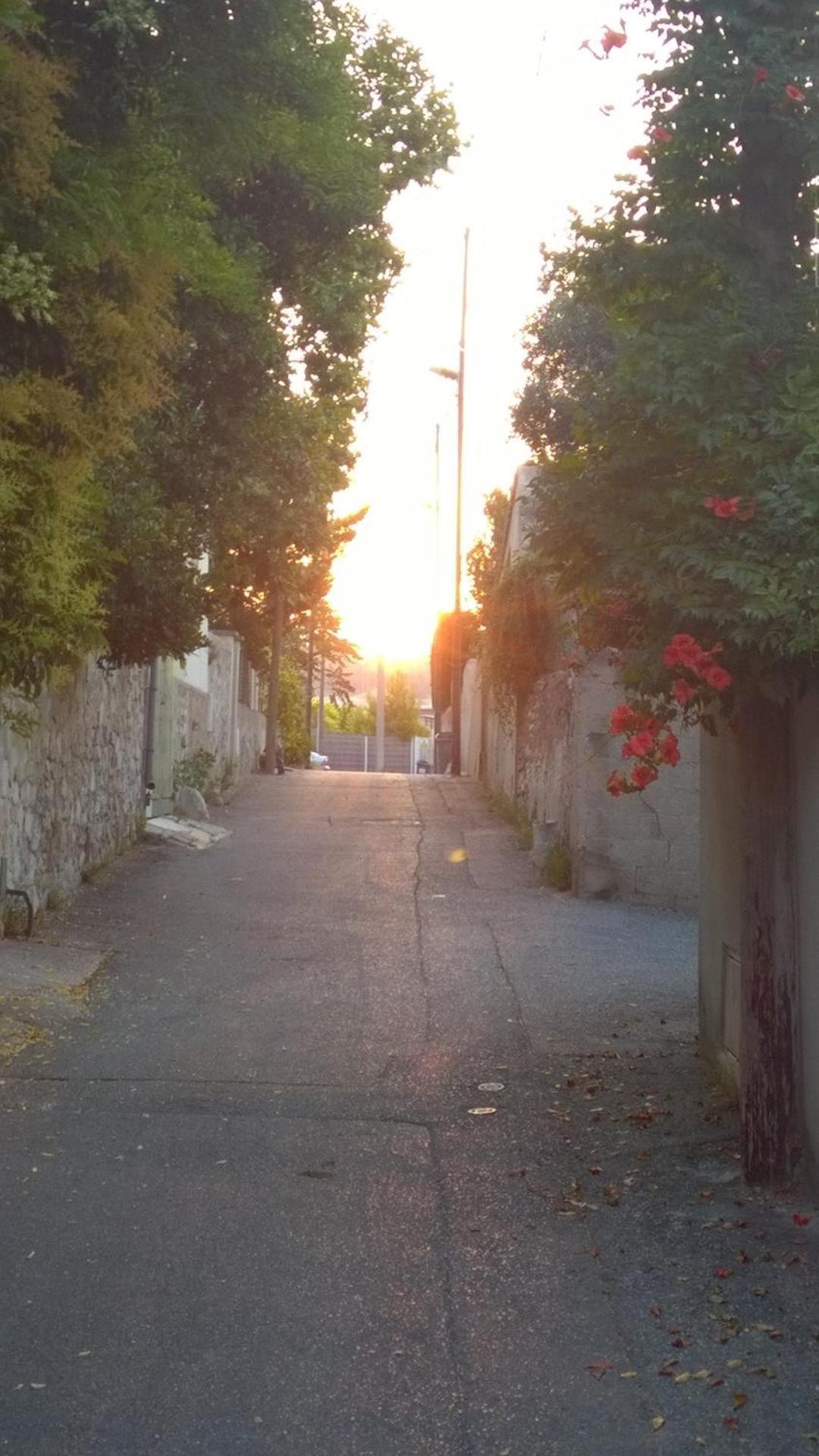 Apartamento Petit Cocon A Mourepiane Marsella Exterior foto